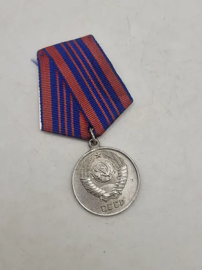 Medal "For excellent service in the protection of public order"