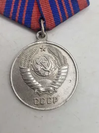 Medal "For excellent service in the protection of public order"