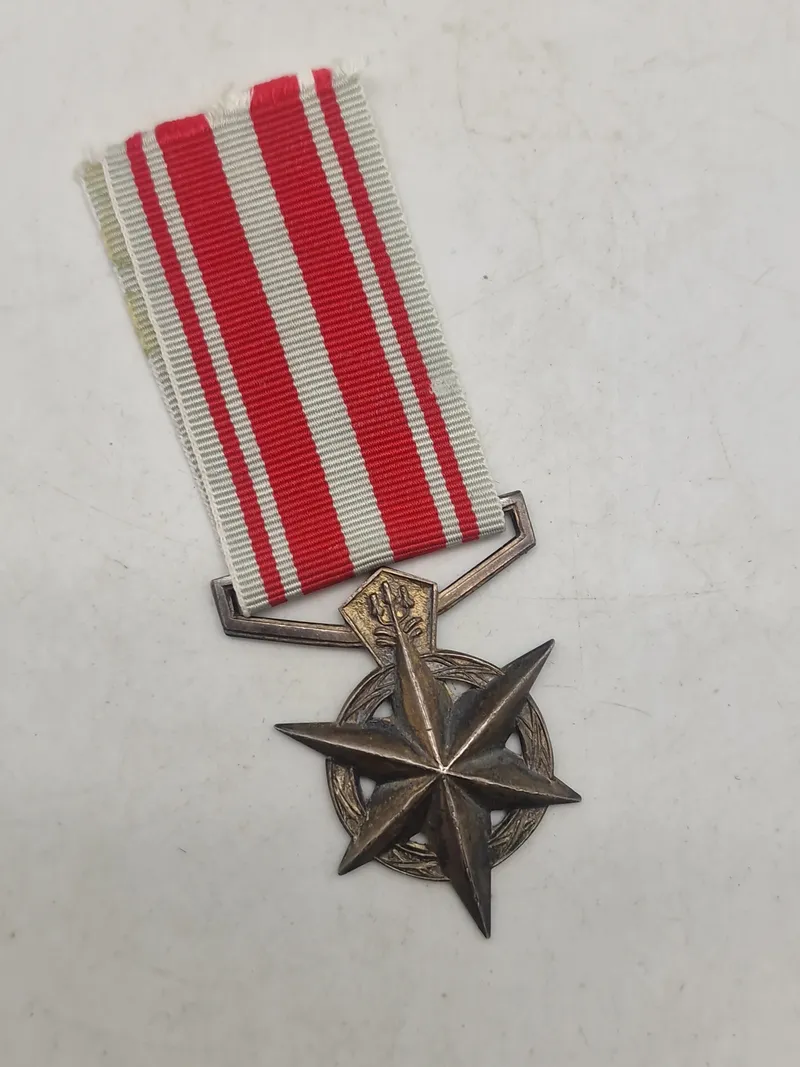 Original sydafrikansk politimedalje for bekæmpelse af terrorisme.