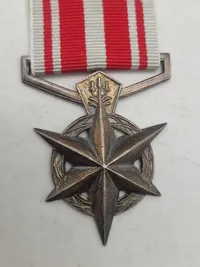 Original sydafrikansk politimedalje for bekæmpelse af terrorisme.
