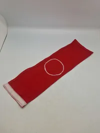 Tysk partiarmbind, efter 45