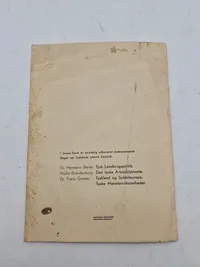 Den tyske arbejdstjeneste D.N.S.A.P