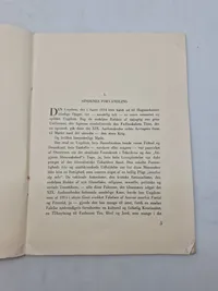 Original pjece - Kristenkors og Hagekors" af Jørgen Sneby, udgivet af Eget Forlag i København i 1934.