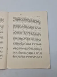 Original pjece - Kristenkors og Hagekors" af Jørgen Sneby, udgivet af Eget Forlag i København i 1934.