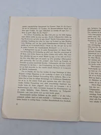 Original pjece - Kristenkors og Hagekors" af Jørgen Sneby, udgivet af Eget Forlag i København i 1934.