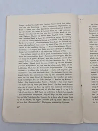 Original pjece - Kristenkors og Hagekors" af Jørgen Sneby, udgivet af Eget Forlag i København i 1934.