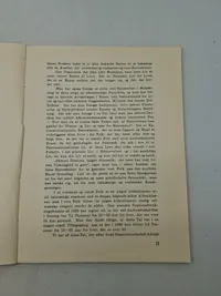 Danmarks national socialistiske arbejder parti