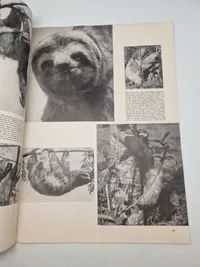 Originale eks af det tyske blad ILLUSTRIRTE ZEITUNG LEIPZIG - ww2