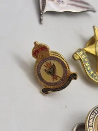 Samling diverse veteran pins og træf pins