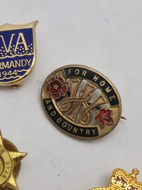 Samling diverse veteran pins og træf pins