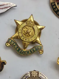 Samling diverse veteran pins og træf pins