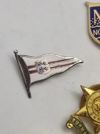 Samling diverse veteran pins og træf pins