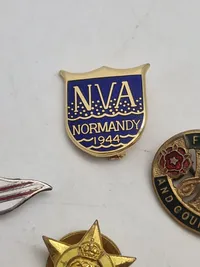 Samling diverse veteran pins og træf pins