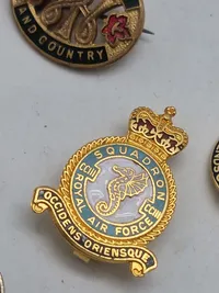 Samling diverse veteran pins og træf pins