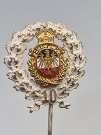 Originale tyske veteran nåle/pins
