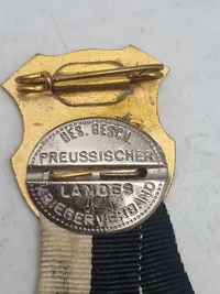 Originale tyske veteran nåle/pins