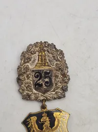 Originale tyske veteran nåle/pins
