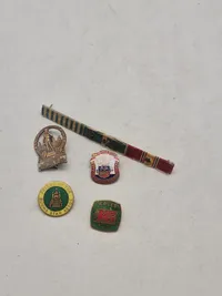 Lot diverse pins mm.