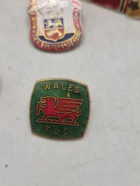 Lot diverse pins mm.