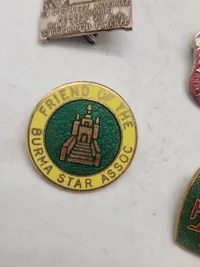 Lot diverse pins mm.