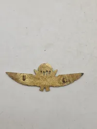 Lot originale faldskærmsvinger