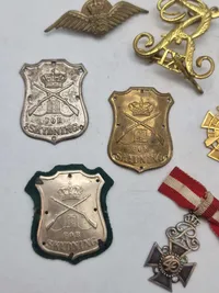 Lot originale skjolde, medaljer mm.