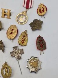 Lot pins og regiments mærker