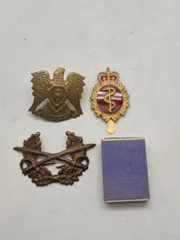 Lot diverse badges og split til granat