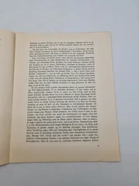 Original DNSAP flyer - ww2