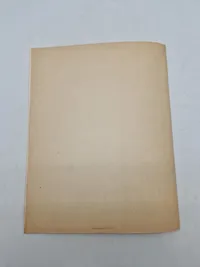Original DNSAP flyer - ww2