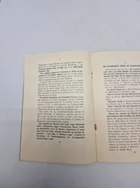 Originalt eks af bogen "Danmarks Skæbne - Hvorfor ? Fordi -" af Kaptajn M. Dall, udgivet af H. Hagerup i København.