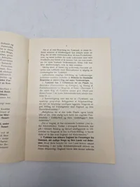 Originalt eks af bogen "Danmarks Skæbne - Hvorfor ? Fordi -" af Kaptajn M. Dall, udgivet af H. Hagerup i København.