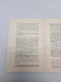 Originalt eks af bogen "Danmarks Skæbne - Hvorfor ? Fordi -" af Kaptajn M. Dall, udgivet af H. Hagerup i København.