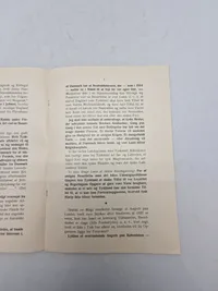 Originalt eks af bogen "Danmarks Skæbne - Hvorfor ? Fordi -" af Kaptajn M. Dall, udgivet af H. Hagerup i København.