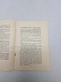 Originalt eks af bogen "Danmarks Skæbne - Hvorfor ? Fordi -" af Kaptajn M. Dall, udgivet af H. Hagerup i København.