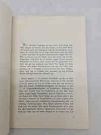 Original Dansk nazistisk flyer - ww2