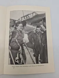 Original Dansk nazistisk flyer - ww2