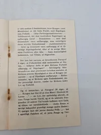 Original DNSAP flyer - ww2