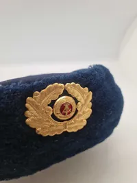 Original DDR marine hue