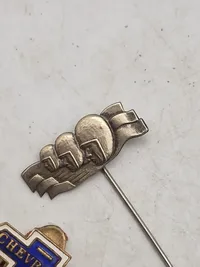 Pins automobilia