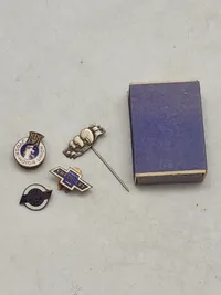 Pins automobilia