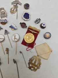 Samling pins
