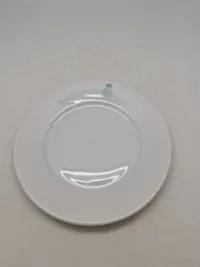 Original tallerken fra det danske politi