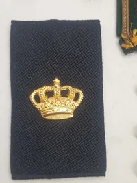 Lot diverse Rex’er og skulderstropper