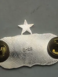 Originalt USAF Senior Historian Badge