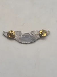 Original  aircrew Wing