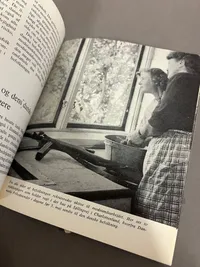 Bog om WW2 i DK