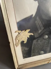 Originalt tysk ww2 foto med Edelweis blomst