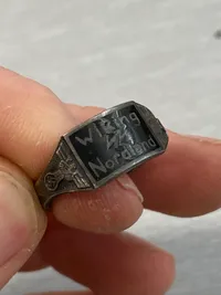 Waffen-SS division Wiking ring - Postwar
