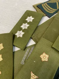 Stor samling danske skulderstropper